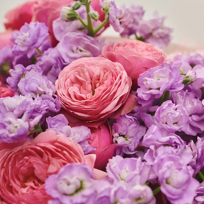 Дуобукет из кустовой розы Silva Pink с левкоем